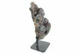 Amethyst Geode Section on Metal Stand - Uruguay #171925-2